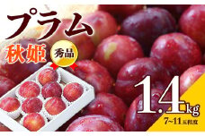 【先行予約 2025年度発送】☆フルーツ王国山形☆プラム（秋姫）1.4kg秀品  フルーツ 果物 くだもの 果実 食品 山形県 FSY-0372