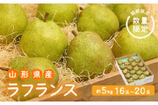 《先行予約 2025年度発送》【王将果樹園】ラフランス5kg～生産量日本一のまちより～  なし ナシ 梨 デザート フルーツ 果物 くだもの 果実 食品 山形県 FSY-1901
