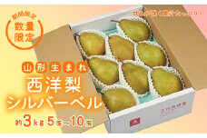 《先行予約 2025年度発送》【王将果樹園】西洋梨シルバーベル3kg～山形生まれの西洋梨～  なし ナシ 梨 デザート フルーツ 果物 くだもの 果実 食品 山形県 FSY-1904