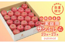 《先行予約 2025年度発送》【王将果樹園】ご家庭用サンふじ 5kg  りんご リンゴ 林檎 デザート フルーツ 果物 くだもの 果実 食品 山形県 FSY-1906