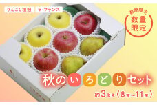 《先行予約 2025年度発送》【王将果樹園】秋のいろどりセット 3kg  なし ナシ 梨 デザート フルーツ 果物 くだもの 果実 食品 山形県 FSY-1908