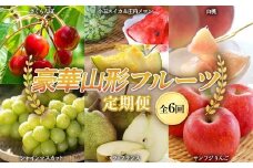 《先行予約 2025年度発送》豪華山形フルーツ定期便（全6回） FSY-0536