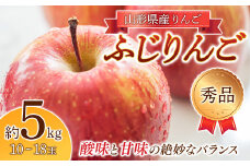 《2025年度先行予約》りんご「ふじりんご」秀品 10～18玉 5kg  りんご リンゴ 林檎 デザート フルーツ 果物 くだもの 果実 食品 山形県 FSY-1916