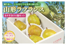 《先行予約 2023年度発送》山形ラフランス 1.2kg おすそ分け4箱セット ～生産量日本一のまちより～ FSY-0051