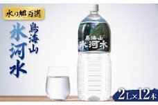 【水の郷百選】山形県 鳥海山 氷河水（ひょうがすい）2L×12本 天然水 ミネラルウォーター F2Y-6309