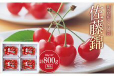 《2025年先行予約》さくらんぼ 佐藤錦 秀品 200g×4パック Lサイズ以上 FSY-0561