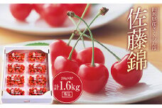 《2025年先行予約》さくらんぼ 佐藤錦 秀品 200g×8パック Lサイズ以上 FSY-0563