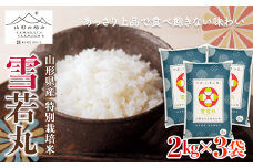 【山形の極み】特別栽培米 山形県産 雪若丸 6kg（2kg×3袋） F2Y-7006