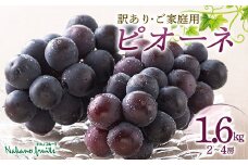 【仲野観光果樹園】《2025年先行予約》ご家庭用 山形県産 種無し ぶどう ピオーネ 約1.6kg(2~4房) 2025年8月下旬から順次発送 ぶどう ブドウ 葡萄 デザート フルーツ 果物 くだもの 果実 食品 山形県 F2Y-5456