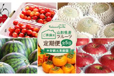 【仲野観光果樹園】《2025年先行予約》ご家庭用 山形県産 フルーツ定期便（全5回） さくらんぼ メロン すいか 柿 りんご 2025年6月中旬から順次発送 F2Y-6043