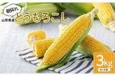 【長岡ファーム】≪2025年先行予約≫ 農家直送 山形県産 朝採れ とうもろこし 3kg（6～9 本） 2025年8月上旬から順次発送 とうきび トウキビ トウモロコシ コーン 野菜 食品 山形県 F2Y-5459