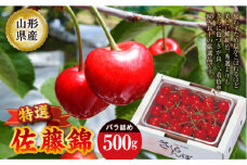 《先行予約 2025年度発送》佐藤錦 特選バラ詰め【500g】 FSY-2207