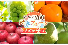 【2025年先行予約 定期便4回】 おいしい山形 秋冬フルーツ定期便  マスカット ぶどう ブドウ 葡萄 デザート フルーツ 果物 くだもの 果実 食品 山形県 FSY-1837
