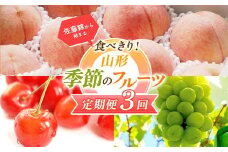 【2026年先行予約 定期便3回】 佐藤錦から始まる食べきり！山形季節のフルーツ定期便 FSY-2318