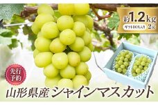 山形県産 シャインマスカット 2房 約1.2kg前後  マスカット ぶどう ブドウ 葡萄 デザート フルーツ 果物 くだもの 果実 食品 山形県 FSY-0579
