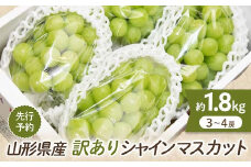 山形県産 訳あり シャインマスカット 1.8kg 約3～4房前後  マスカット ぶどう ブドウ 葡萄 デザート フルーツ 果物 くだもの 果実 食品 山形県 FSY-0580