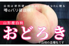 《先行予約 令和7年8月上旬発送》山形県産 おどろき白桃 秀品 約3kg  もも モモ 桃 デザート フルーツ 果物 くだもの 果実 食品 山形県 FSY-0583