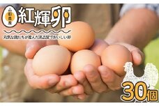 紅輝卵 30個セット F2Y-3491