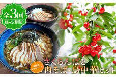 【夏の定期便】さくらんぼとソウルフード肉そば・鳥中華セット【全3回】 FSY-0693