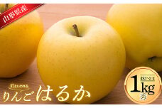 りんご はるか 1kg (約3～5玉入り) 山形県産 ギフト箱入り 蜜入り 《先行予約 2024年12月中旬から発送開始》  リンゴ 林檎 デザート フルーツ 果物 くだもの 果実 食品 山形県 FSY-0616