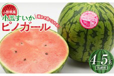 山形県産 種まで食べられる小玉すいかピノガール4～5玉（2kg前後）  スイカ すいか 西瓜 デザート フルーツ 果物 くだもの 果実 食品 山形県 FSY-0723