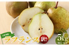 山形県産 訳あり ラ・フランス 5kg  なし ナシ 梨 デザート フルーツ 果物 くだもの 果実 食品 山形県 FSY-0725