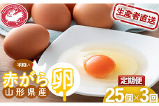 【半澤鶏卵】《定期便》 山形県産 赤がら卵25個（破損補償5個含む）×3回 国産鶏種もみじ F2Y-5487