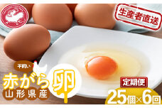 【半澤鶏卵】《定期便》 山形県産 赤がら卵25個（破損補償5個含む）×6回 国産鶏種もみじ F2Y-5488