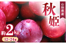 【先行予約 令和7年度発送】すもも 秋姫 約2kg（12～24玉）  フルーツ 果物 くだもの 果実 食品 山形県 FSY-0666