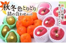 【先行予約 令和7年度発送】秋冬色とりどり詰め合わせセット  フルーツ 果物 くだもの 果実 セット 詰め合わせ 詰合せ 食品 山形県 FSY-0667