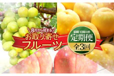 《先行予約 2025年8月上旬発送開始 定期便》8月から始まる お取り寄せフルーツ（白桃 黄桃 シャインマスカット）  もも モモ 桃 デザート フルーツ 果物 くだもの 果実 食品 山形県 FSY-0728