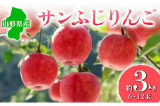 ≪2025年先行予約≫ サンふじりんご 約3kg  りんご リンゴ 林檎 デザート フルーツ 果物 くだもの 果実 食品 山形県 FSY-0677