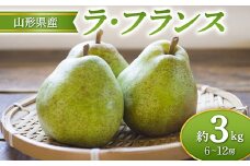 ≪2025年先行予約≫ 山形県産 ラ・フランス 約3kg  なし ナシ 梨 デザート フルーツ 果物 くだもの 果実 食品 山形県 FSY-0684