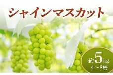 《先行予約 2025年度発送》 シャインマスカット 約5kg  マスカット ぶどう ブドウ 葡萄 デザート フルーツ 果物 くだもの 果実 食品 山形県 FSY-0707