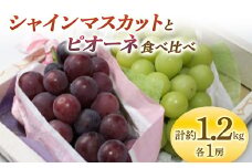 《先行予約 2025年度発送》 シャインマスカットとピオーネ食べ比べ 約1.2kg  マスカット ぶどう ブドウ 葡萄 デザート フルーツ 果物 くだもの 果実 食品 山形県 FSY-0708