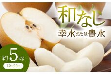 《先行予約 2025年度発送》 和なし(幸水または豊水) 約5kg  なし ナシ 梨 デザート フルーツ 果物 くだもの 果実 食品 山形県 FSY-0709