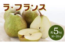【2025年発送 先行予約】 ラ・フランス 約5kg  なし ナシ 梨 デザート フルーツ 果物 くだもの 果実 食品 山形県 FSY-0711