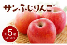 【2025年発送 先行予約】 サンふじりんご 約5kg  りんご リンゴ 林檎 デザート フルーツ 果物 くだもの 果実 食品 山形県 FSY-0712