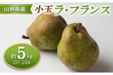 ≪2025年先行予約≫ 山形県産 小玉ラ・フランス 約5kg  なし ナシ 梨 デザート フルーツ 果物 くだもの 果実 食品 山形県 FSY-0687