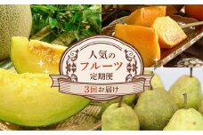 《先行予約 2025年度発送》人気のフルーツ定期便 3回お届け FSY-1888