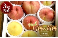 《先行予約 2025年8月中旬発送》山形県産 白桃×黄桃 秀品 約3kg  もも モモ 桃 デザート フルーツ 果物 くだもの 果実 食品 山形県 FSY-0757