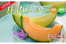 【先行予約 2025年度発送】山形県産 庄内メロン （青肉＆赤肉 MIX）大玉2玉入（各1玉） FSY-0744