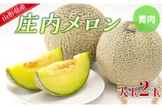 【先行予約 2025年度発送】山形県産 庄内メロン 青肉 2～3L 2玉 FSY-0745