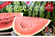 【先行予約 2025年度発送】山形県産 尾花沢スイカ A品 2L 2玉 約14kg FSY-0748