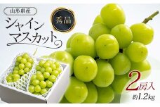 【先行予約 2025年度発送】シャインマスカット 2房入 約1.2kg  マスカット ぶどう ブドウ 葡萄 デザート フルーツ 果物 くだもの 果実 食品 山形県 FSY-0737