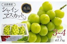 【先行予約 2025年度発送】シャインマスカット 3～4房入 約1.7kg  マスカット ぶどう ブドウ 葡萄 デザート フルーツ 果物 くだもの 果実 食品 山形県 FSY-0738