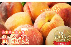 【先行予約 2025年度発送】山形県産 黄金桃 約3kg 8～12玉  もも モモ 桃 デザート フルーツ 果物 くだもの 果実 食品 山形県 FSY-0741