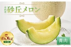 庄内産砂丘メロン（青肉）約5kg FSY-0761