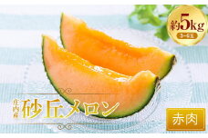 庄内産砂丘メロン（赤肉）約5kg FSY-0762