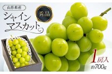 【先行予約 2025年度発送】シャインマスカット 1房入 約700g  マスカット ぶどう ブドウ 葡萄 デザート フルーツ 果物 くだもの 果実 食品 山形県 FSY-0736